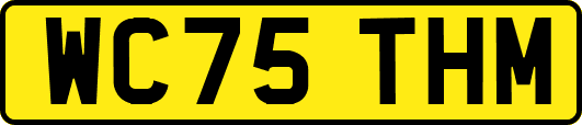 WC75THM