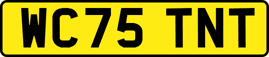 WC75TNT