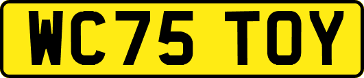 WC75TOY