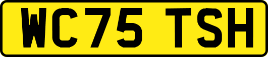 WC75TSH