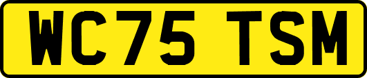 WC75TSM