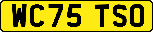 WC75TSO