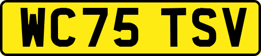 WC75TSV