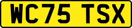 WC75TSX