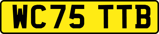 WC75TTB