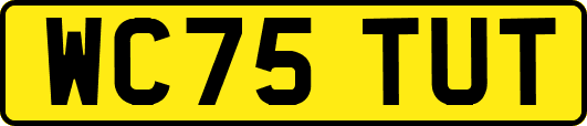WC75TUT