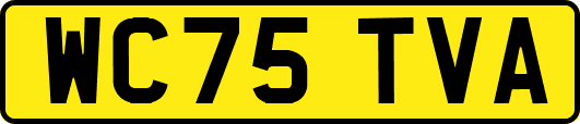 WC75TVA