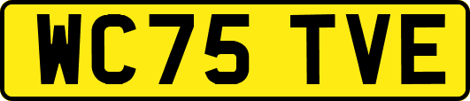 WC75TVE