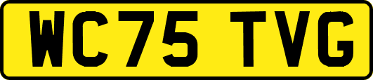 WC75TVG