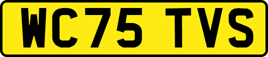 WC75TVS