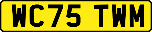 WC75TWM