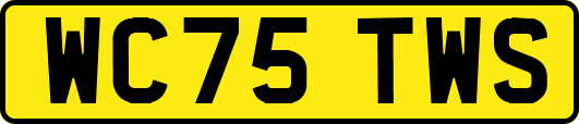 WC75TWS