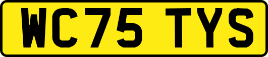 WC75TYS