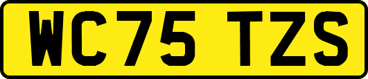 WC75TZS