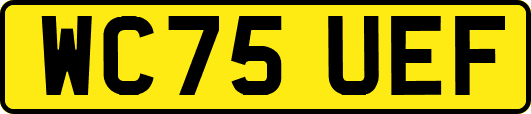 WC75UEF