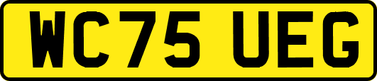 WC75UEG
