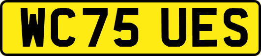 WC75UES