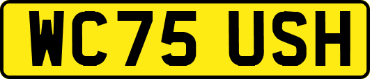 WC75USH