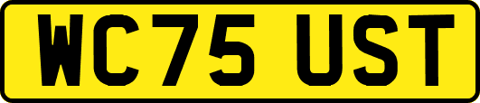 WC75UST