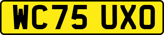 WC75UXO