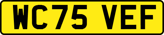 WC75VEF