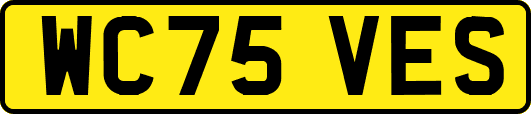 WC75VES