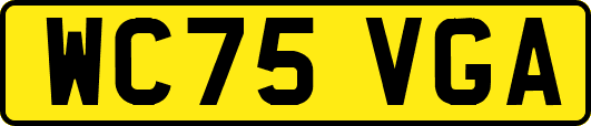 WC75VGA