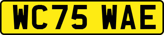 WC75WAE