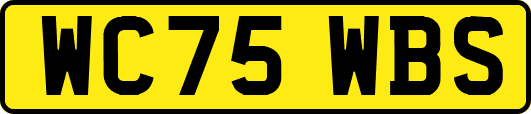WC75WBS