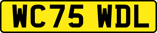 WC75WDL