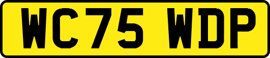 WC75WDP