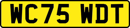 WC75WDT