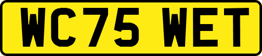 WC75WET