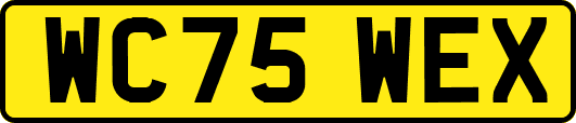 WC75WEX