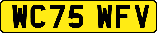 WC75WFV