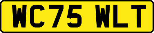 WC75WLT