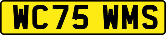 WC75WMS