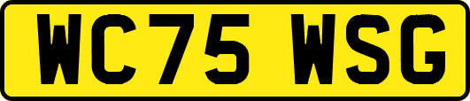 WC75WSG