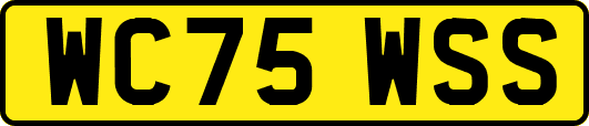 WC75WSS