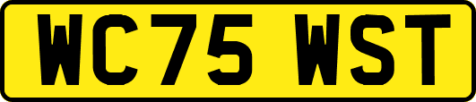 WC75WST