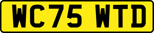 WC75WTD