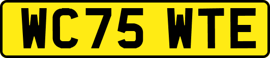 WC75WTE