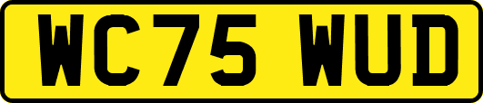 WC75WUD