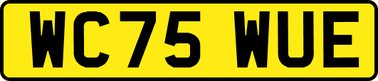 WC75WUE