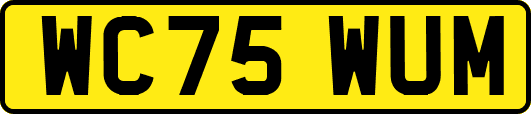 WC75WUM