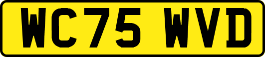 WC75WVD