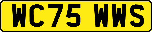 WC75WWS