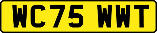 WC75WWT