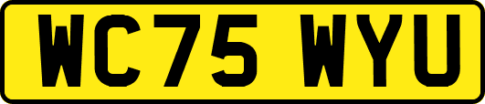WC75WYU