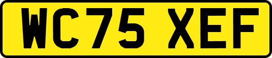 WC75XEF